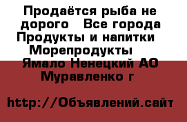 Продаётся рыба не дорого - Все города Продукты и напитки » Морепродукты   . Ямало-Ненецкий АО,Муравленко г.